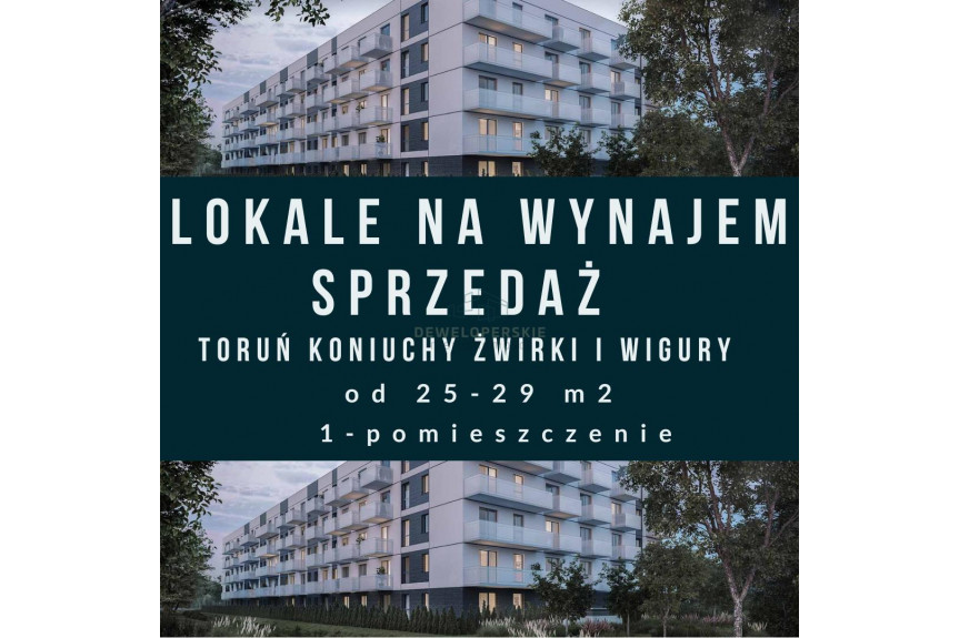 Toruń, Koniuchy, al. Żwirki i Wigury, KAWALERKA Z TARASEM/PARTER/ŻWIRKI I WIGURY TORUŃ KONIUCHY